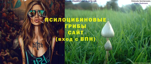 mdpv Бородино