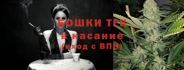 PSILOCYBIN Кодинск